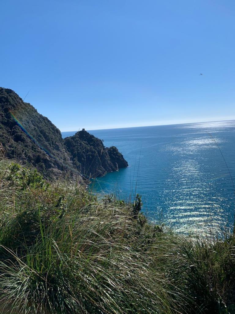 La Pergola Dei Paggi Villa Sestri Levante Eksteriør billede