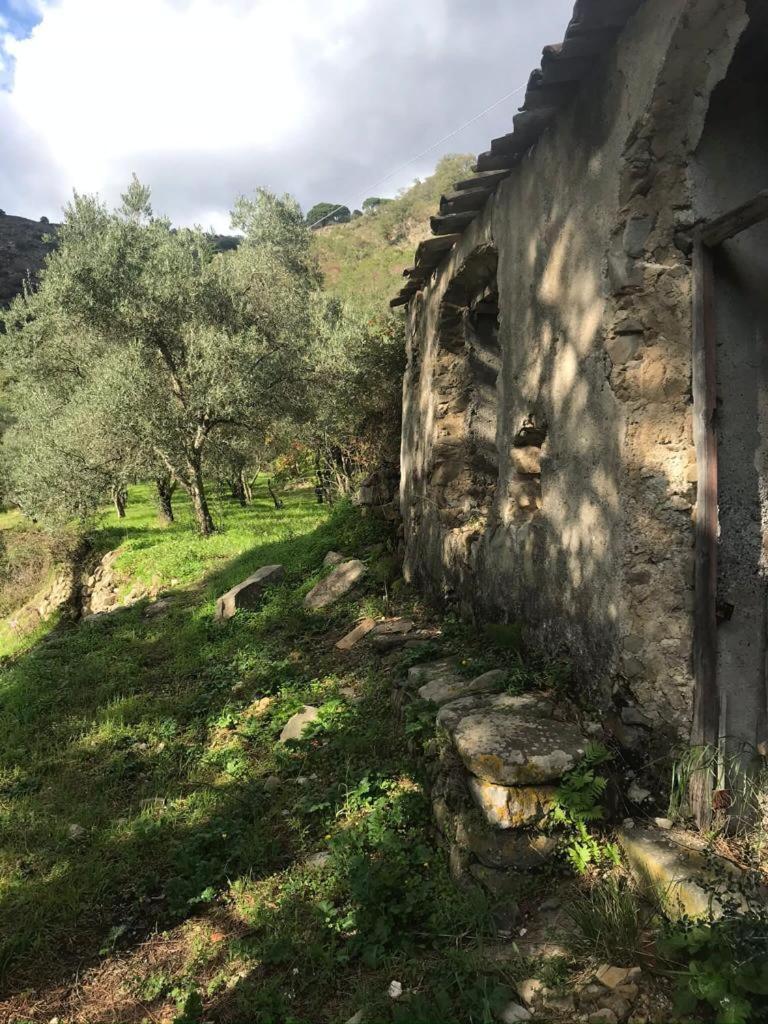 La Pergola Dei Paggi Villa Sestri Levante Eksteriør billede